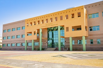 Coll-pic3.jpg